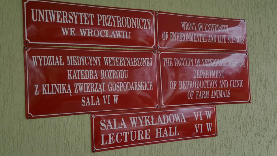 Having recently translated campus signage and the resources in the library to English, The University of Life and Environmental Sciences has gone to some lengths to make the Wroclaw campus more welcoming for international students. Photograph: Éanna Ó Caollaí/The Irish Times