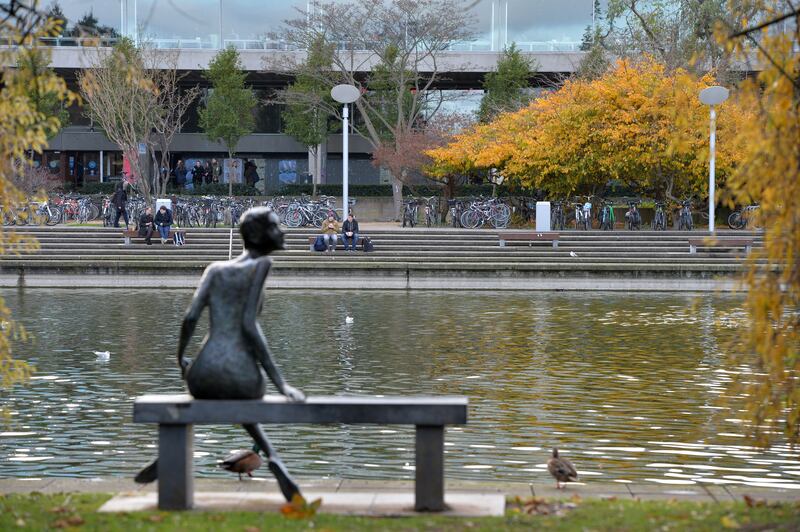 At UCD, the long-established four-year, level eight BSc in landscape architecture trains graduates to design habitats for humans and animals, improving the design of our cities and rural lands. Photograph: Alan Betson