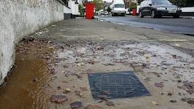 Protester dug up meter and posted it to Irish Water, court hears