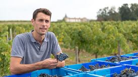 Wild Geese: ‘When we walked into the vineyard, we knew it was right’