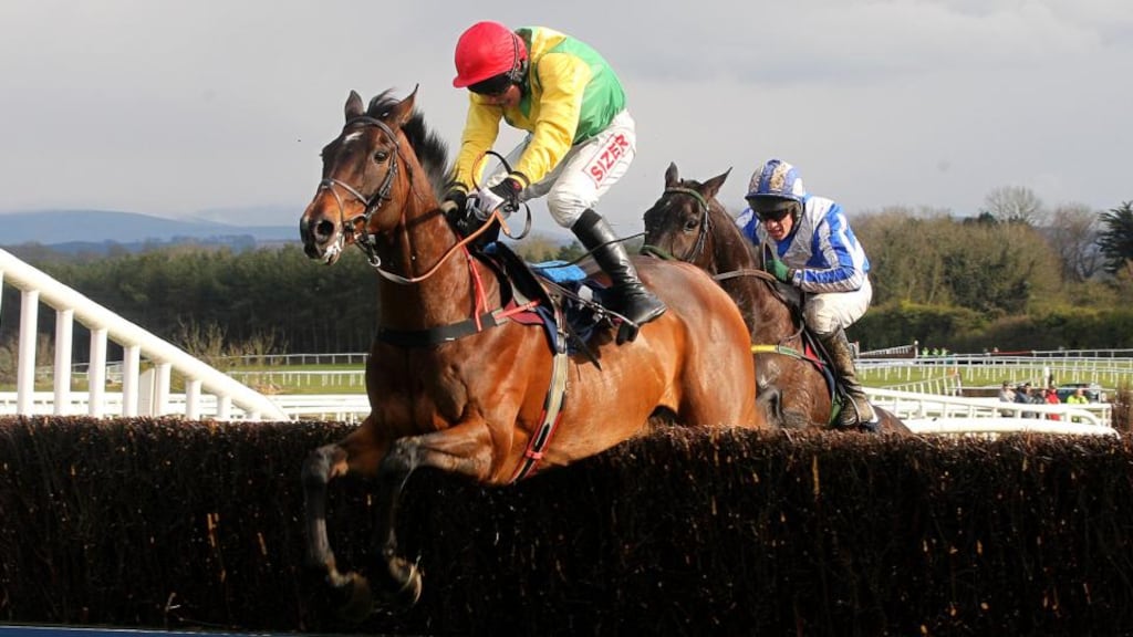 Sizing Europe is set to make his fifth successive appearance in the Boylesports.com Champion Chase tomorrow. Photograph: Lorraine O’Sullivan/Inpho