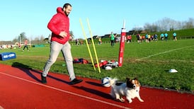 Andy Farrell to join Munster in temporary advisory role
