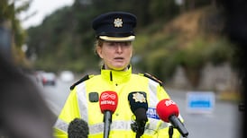 ‘Take the consequences’: gardaí urge drivers to stay at crash scenes amid recent hit and runs