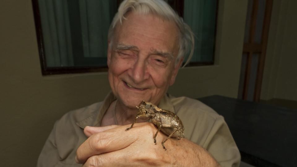 Gorongosa: EO Wilson (above)has been studying wildlife in the Mozambican national park, including its ants. His colleagues have found more than 200 species of ant there; before a brief survey he led, only 50 were known to exist in the whole of Mozambique. Photographs: Piotr Naskrecki