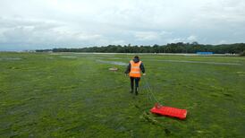 Human waste causes rise in ‘green tides’ in coastal areas
