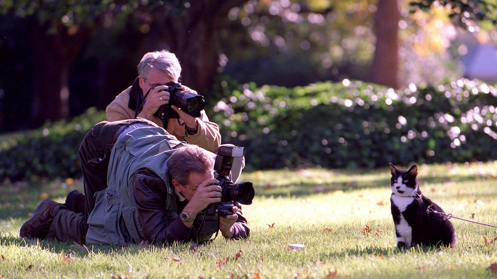 Giving it Socks: Bill Clinton’s cat poses for the press corps on the White House lawn in 1999. Photograph: Robert Giroux/Getty Images