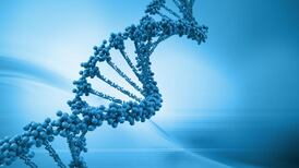 Twin study shows environment interacts with genes in autism