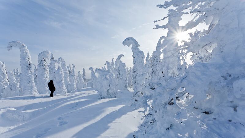 ‘The snow fell softly and persistently, covering the sky with its milky canvas.’ Photograph: iStock