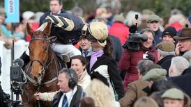 Mullins back on the board at Cheltenham