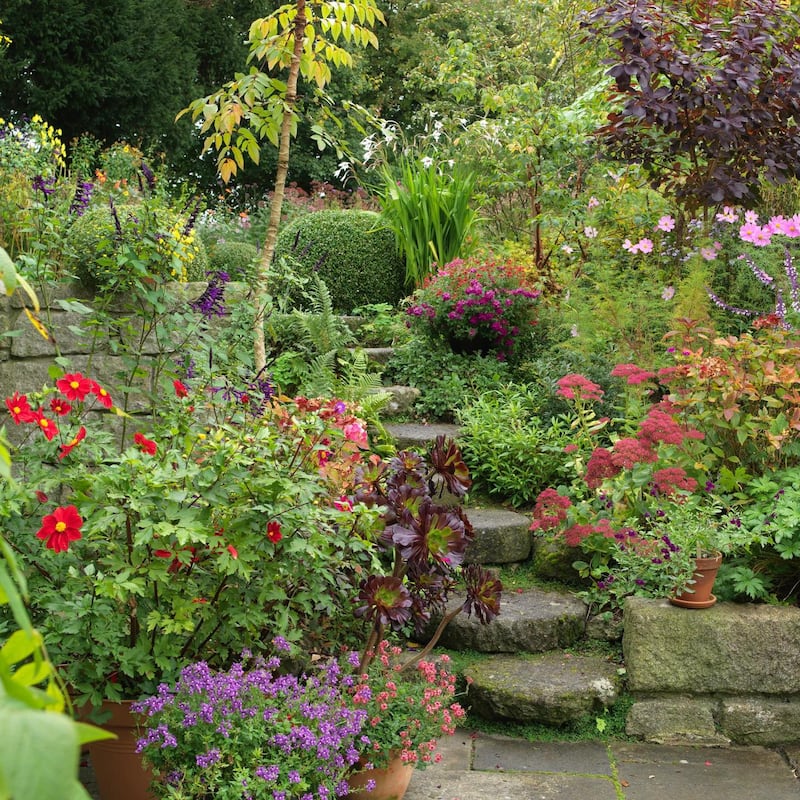 Colourful planting in Patthana, a lovely small garden in Kiltegan, Co Wicklow. Photograph: Richard Johnston