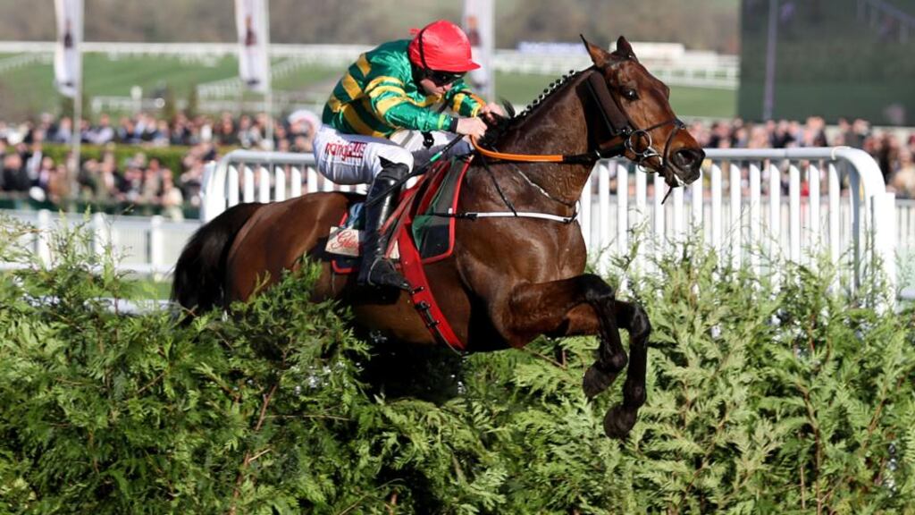 Cause of Causes, pictured here racing at Cheltenham under Jamie Codd, is being lined up by Gordon Elliott for the Grand National. Photograph: Dan Sheridan/Inpho