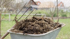 Leaving Cert: No surprises on Agricultural Science paper