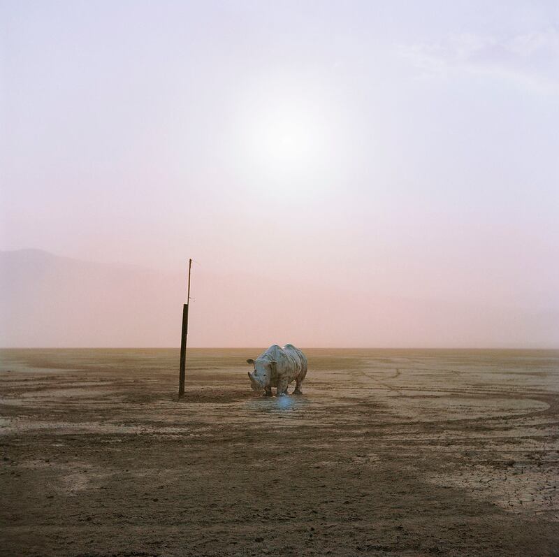 Dry Lagoon by Oswaldo Ruiz: in Mexico, artists can pay taxes by donating a work