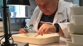 ‘Essential action’ must be taken now to safeguard North’s environment