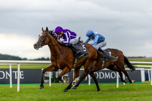 Aidan O’Brien aiming for third Prix de l’Arc de Triomphe, with Minnie Hauk his main hope