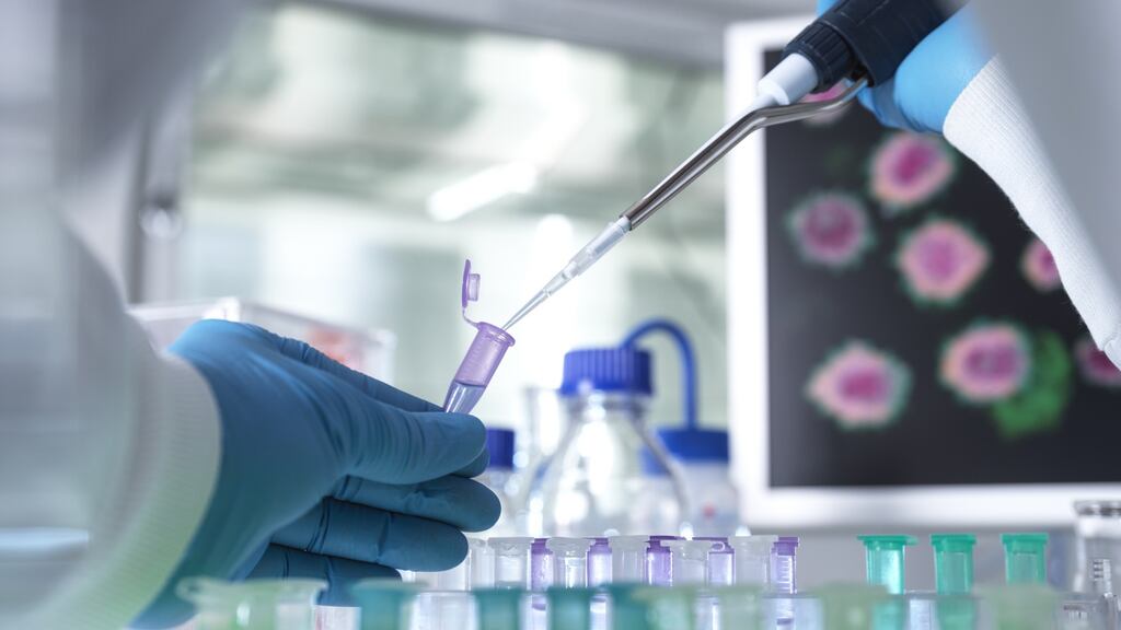 In January, Brazilian scientists reported two cases of Covid-19 co-infection, but the study hasn’t yet been released in a scientific journal. Photograph: Getty Images