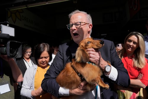 Australia’s almost sure-footed Labor PM polling ahead of Liberal rival as election looms