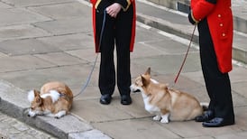 Queen Elizabeth’s funeral in numbers — from queue lengths to the corgis