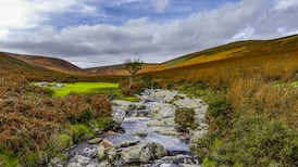 Ireland’s natural environment in ‘very  poor’ condition, EU analysis finds