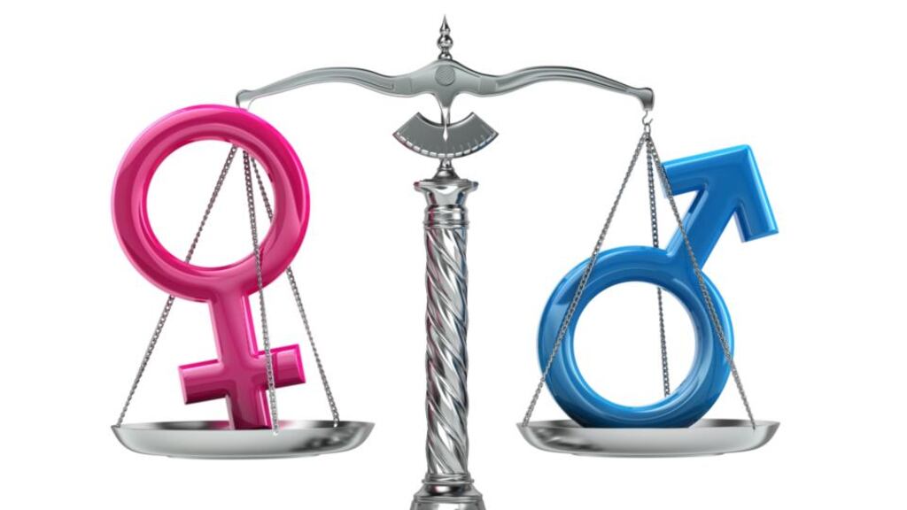 The Balance for Better Business group has called on the 20 largest companies trading on the Euronext Dublin exchange to have at least 33 per cent women directors by the end of 2023