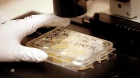 Tax institute president calls on Government to examine costs and benefits of R&D credit