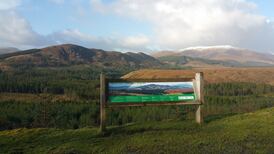 Want to be a ‘rewilder’? Here’s how