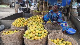 Africa suffers devastating fallout from Ukraine war