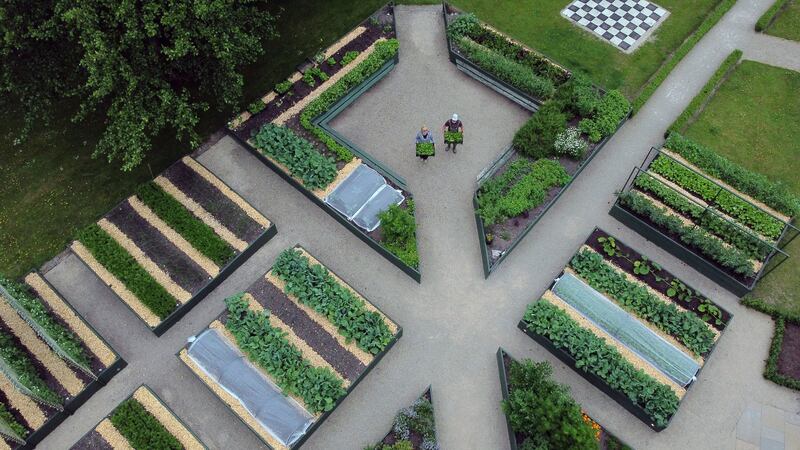 ‘The things we have chosen to grow is stuff that I can’t really get from anywhere else, like all the different currents and berries, it’s so hard to find all that stuff.’ Photograph: Nick Bradshaw/The Irish Times