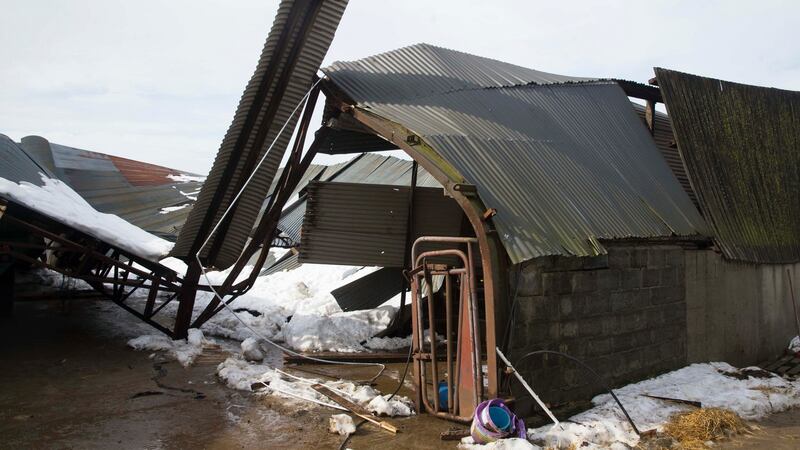 Karol Winters’ farm in Taghmon, Co Wexford, where snow brought down sheds. Photograph: Patrick Browne