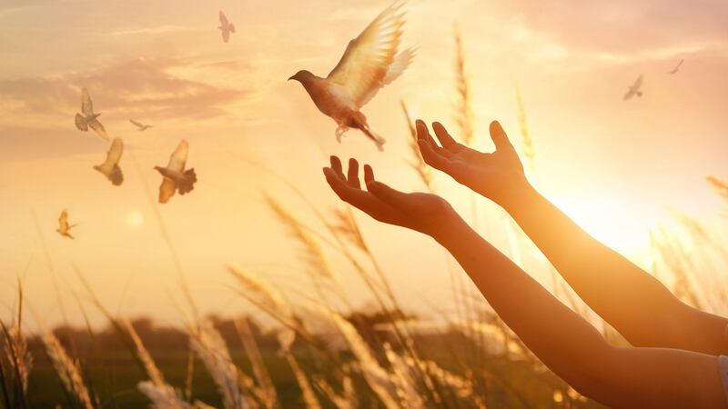 Gach duine le chéile