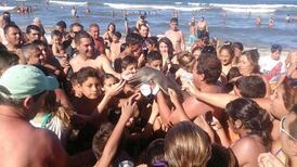 Endangered dolphin dies after beachgoers hold it for photos