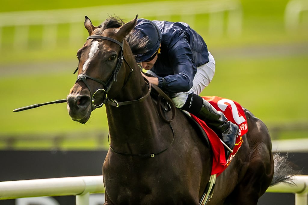 Ryan Moore rides Lambourn to victory in the Dubai Duty Free Irish Derby on Sunday. Photograph: Morgan Treacy/Inpho