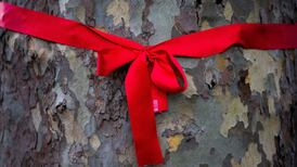 BusConnects: Culling trees latest attack on Dublin’s quality of life