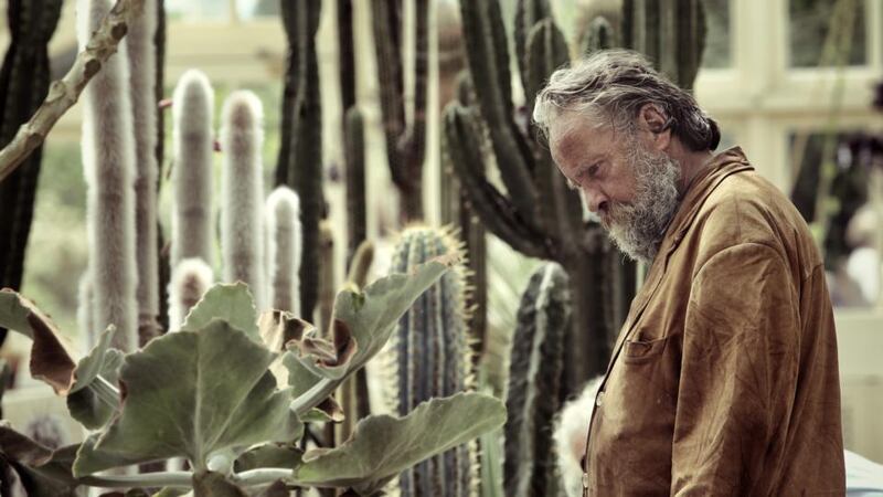 Sense of peace: Martin Hart at the National Botanic Gardens in Glasnevin. Photograph: Donal Moloney