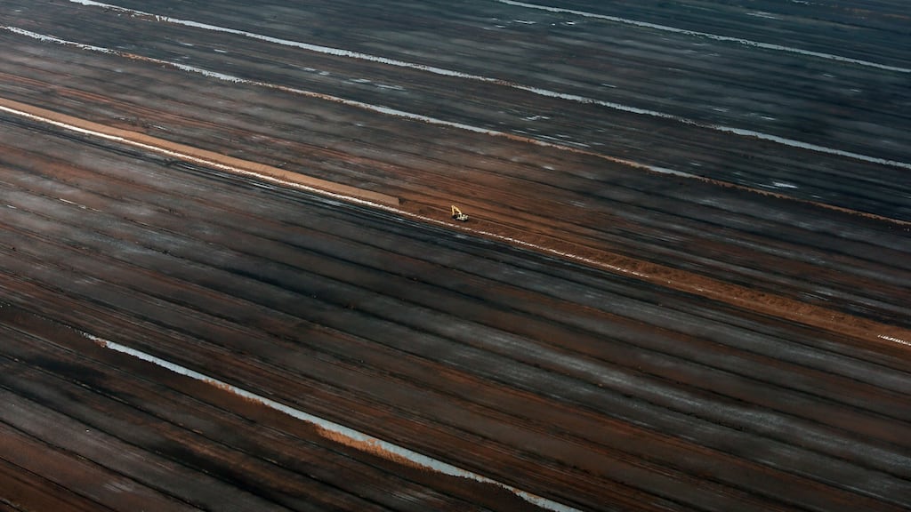 Bord na Móna has been moving into businesses such as electricity generation, waste processing and horticulture in recent years.