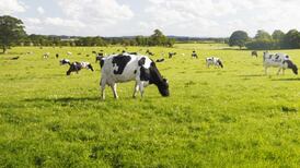 Farmer says ‘vulture fund’ receiver threatened to sell livestock