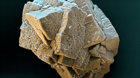 Irish scientific research is finding space in the natural gas fuel market