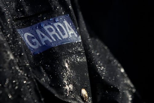 Call for ‘full inquiry’ into garda who had sex with prostitute