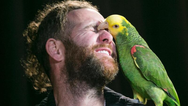 Escobar the parrot and his owner, Kevin