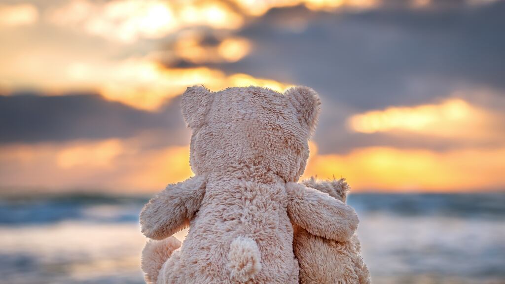 Children grow out of using transitional objects such as teddies in their own time and there are no emotional problems associated with their use.