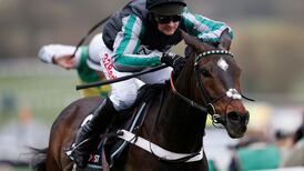 Bookies have the best of Champion Tuesday