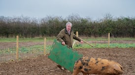 Clarkson’s Farm review: Farming is tough nowadays – even for millionaire dabblers bankrolled by Jeff Bezos