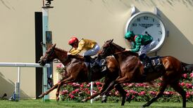 Joe Murphy team examining Irish Oaks as potential target for Royal Ascot heroine Cercene