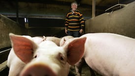 New pig levy to protect animal health will boost exports, says Creed
