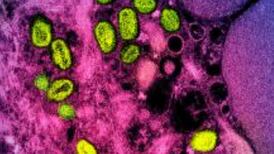 WHO confirms first case of ‘grave’ mpox strain outside of Africa in Sweden