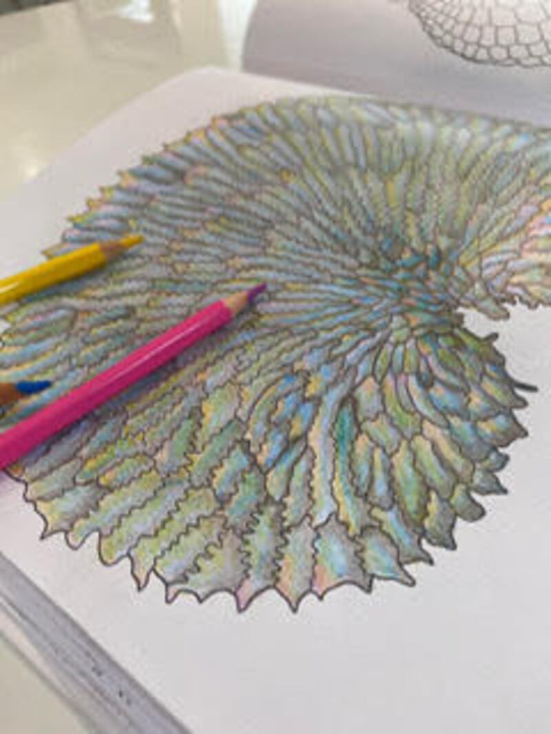 Microscopic Marvels by Jennifer Delaney