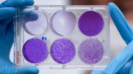 Coronavirus: Vaccines need scientific scrutiny despite global rush, warns expert