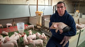 Staff shortages and rising costs squeeze Irish pig farmers