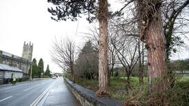 Chapelizod residents seek to block social housing complex