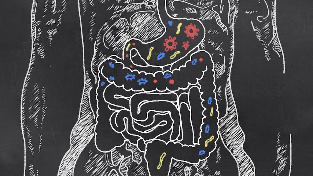 Intestines with gut bacteria on blackboard